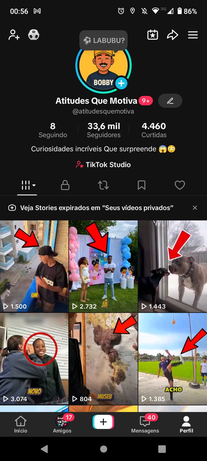 Vendo conta do Tiktok com 33k de seguidores – Conta super engajado – Sem restrição – Conta não monetizado