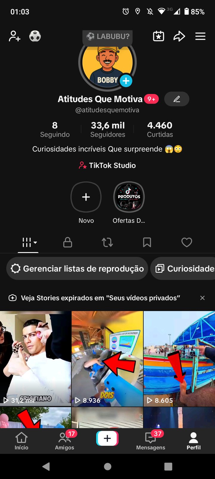 Vendo conta do Tiktok com 33k de seguidores – Conta super engajado – Sem restrição – Conta não monetizado