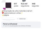 Perfil de Unhas/Nail Art Exclusivo 16.5k Seguidores Orgânicos