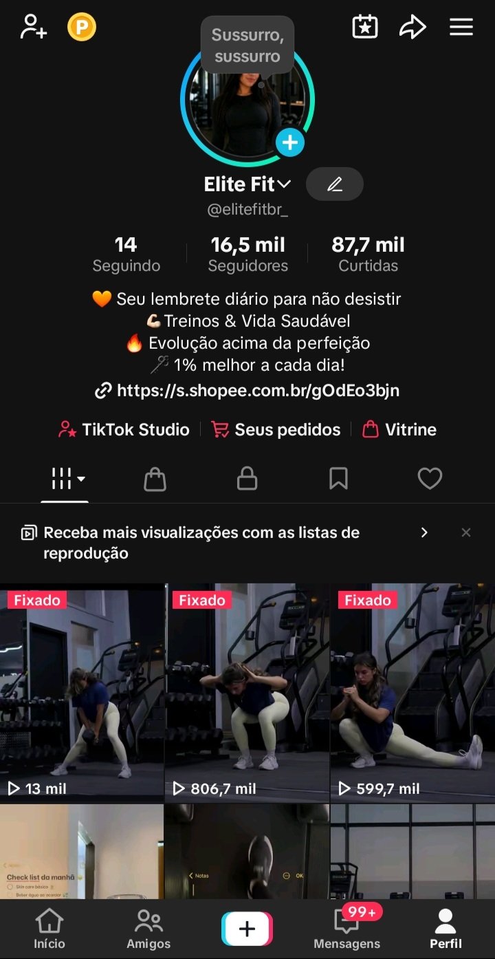 🚀 VENDO CONTA DO TIKTOK NO NICHO FITNESS – MONETIZADA