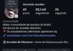 Absolute Assobio OFICIAL – Maior página de assobios do Mundo