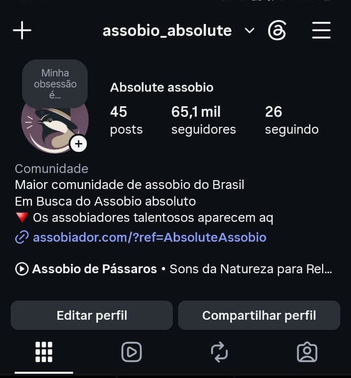 Absolute Assobio OFICIAL – Maior página de assobios do Mundo